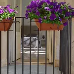 Nonna Jole Bed and Breakfast 4*